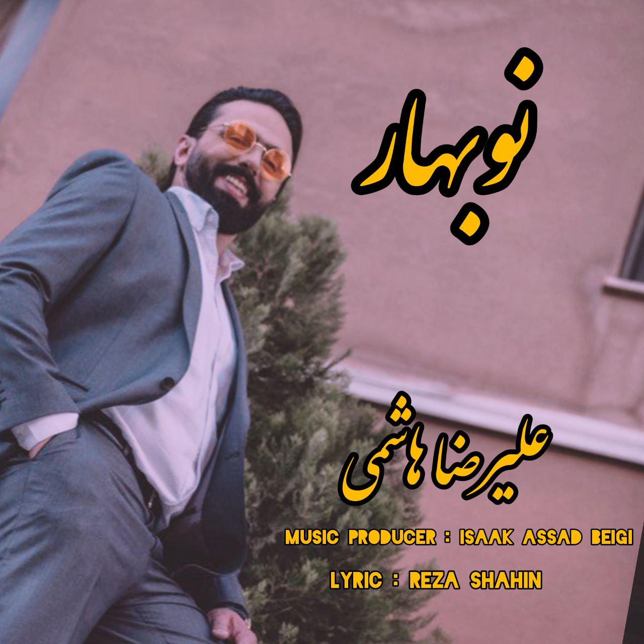دانلود آهنگ علیرضا هاشمی نو بهار